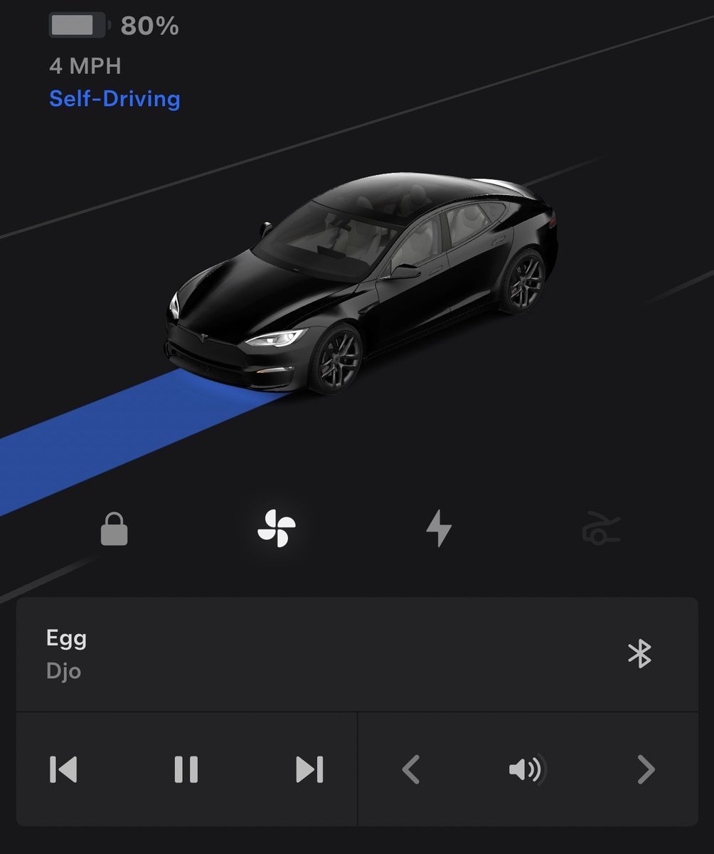 Tesla App Now Shows FSD Blue Route in 2026.20.6.1