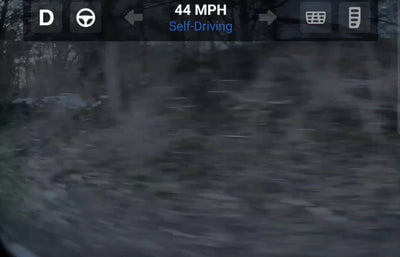 Tesla Says Its AI Is 'Increasingly Sentient': What It Means