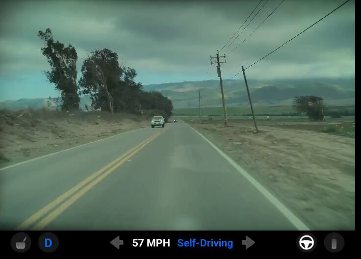 Tesla FSD V14 Avoids Head-On Crash: What Owners Should Know