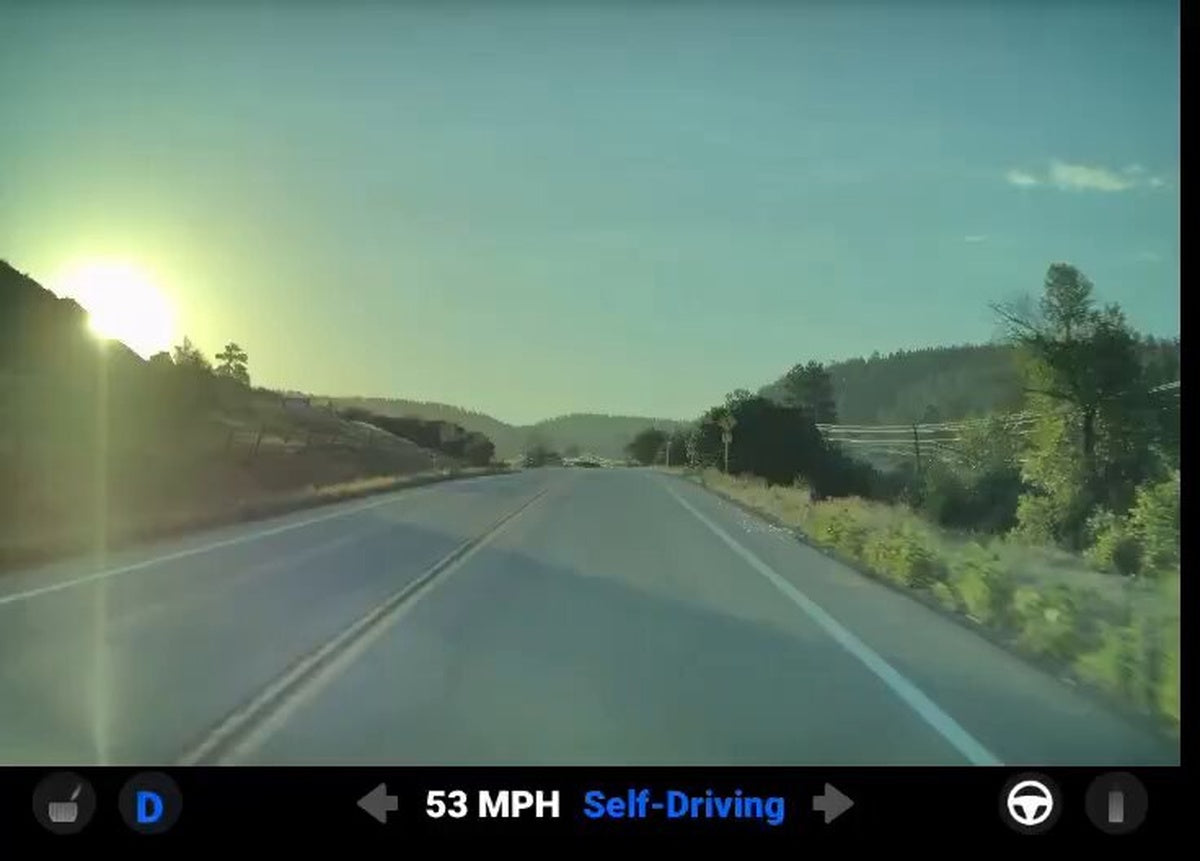 FSD Supervised Avoids Deer in Direct Sunlight: What It Means for You