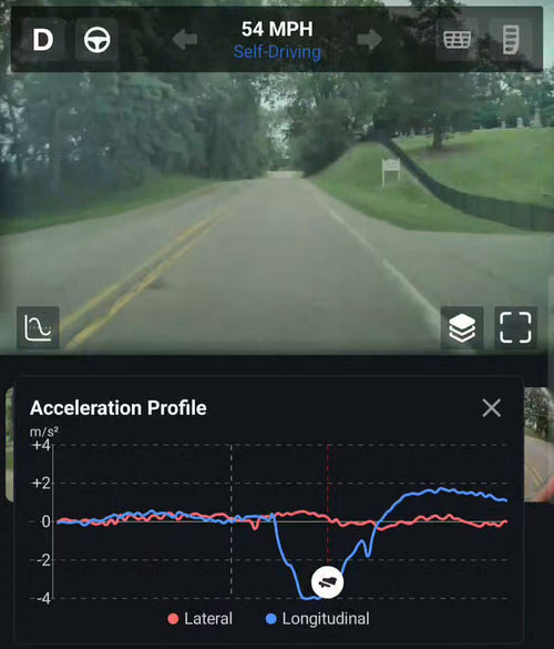 Tesla FSD Spotted Turkeys Over a Hill Before the Driver Could