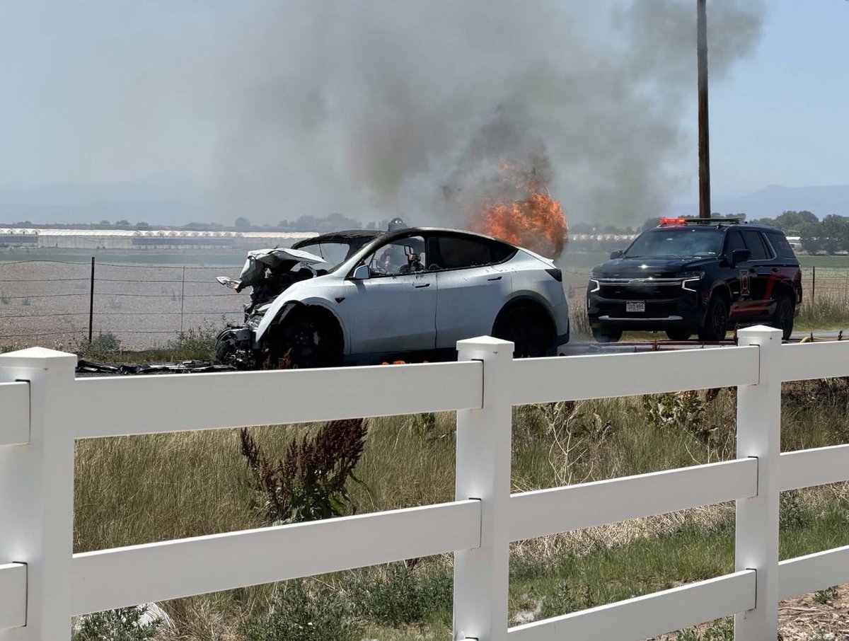 Tesla Model Y Survives Head-On Crash: What Saved the Driver