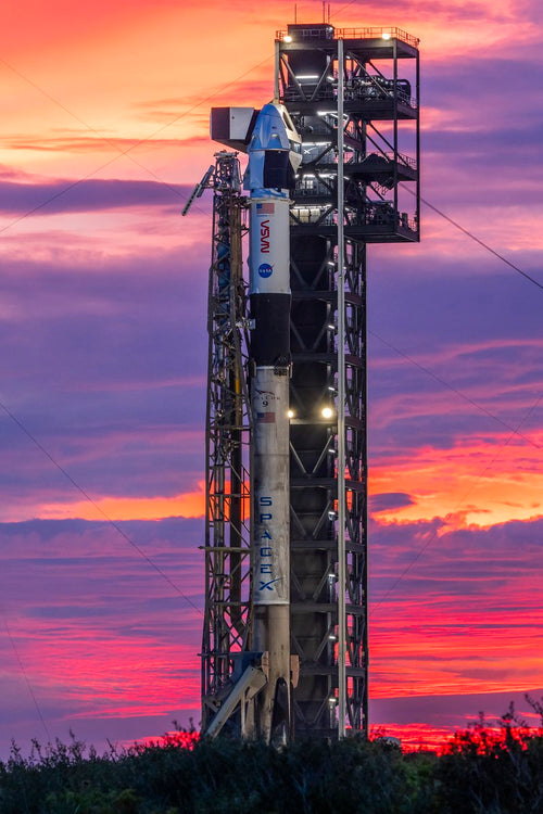 SpaceX Lines Up Three Falcon Rockets for One-Day Launch Blitz