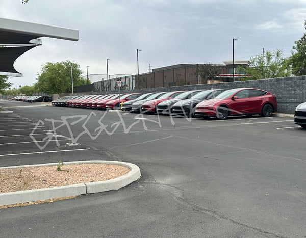 Tesla Robotaxi Expansion: 60 Model Ys Spotted in Phoenix