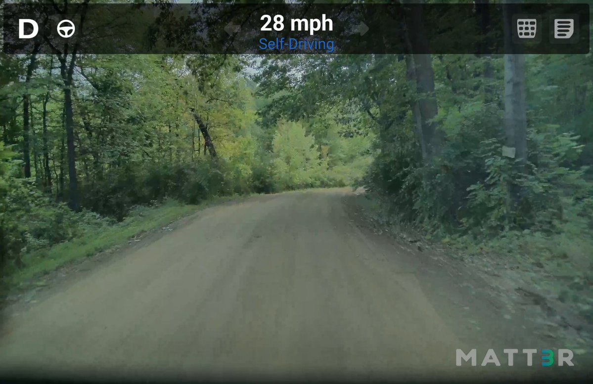 Tesla FSD Dodges a Crater-Sized Pothole — Here's What's Happening