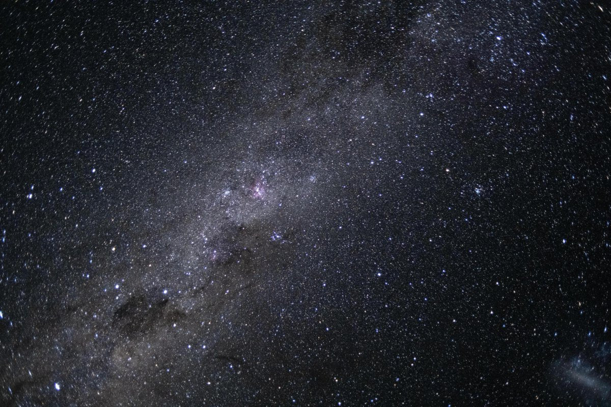 Elon Musk: 'We Will Be Among the Stars' — What It Means