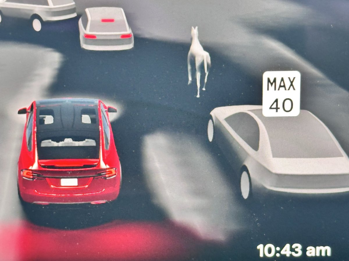 FSD Visuals Just Got Wild: Tesla Adds Horses!