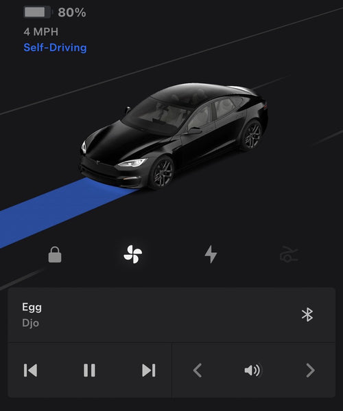 Tesla App Now Shows FSD Blue Route in 2026.20.6.1