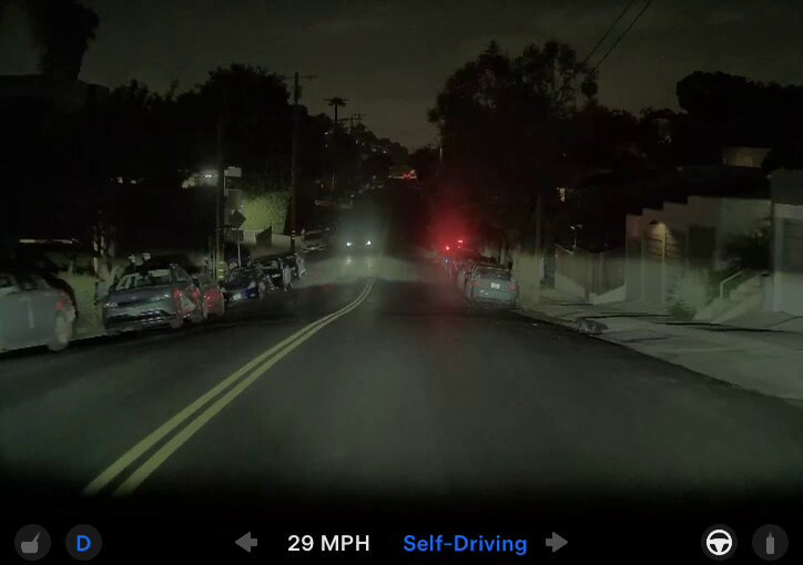 Tesla FSD Sees Pedestrians Before You Do — Here's the Proof