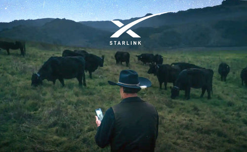 Starlink Powers World-First Satellite Cattle Collars by Halter