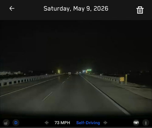 Cybertruck FSD Stops for 4 Deer on a Pitch-Dark Road