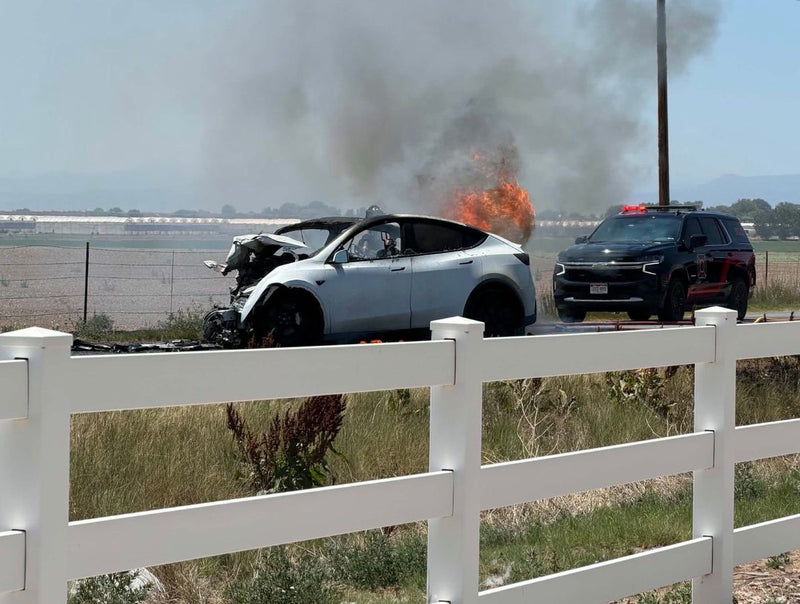 Tesla Model Y Survives Head-On Crash: What Saved the Driver