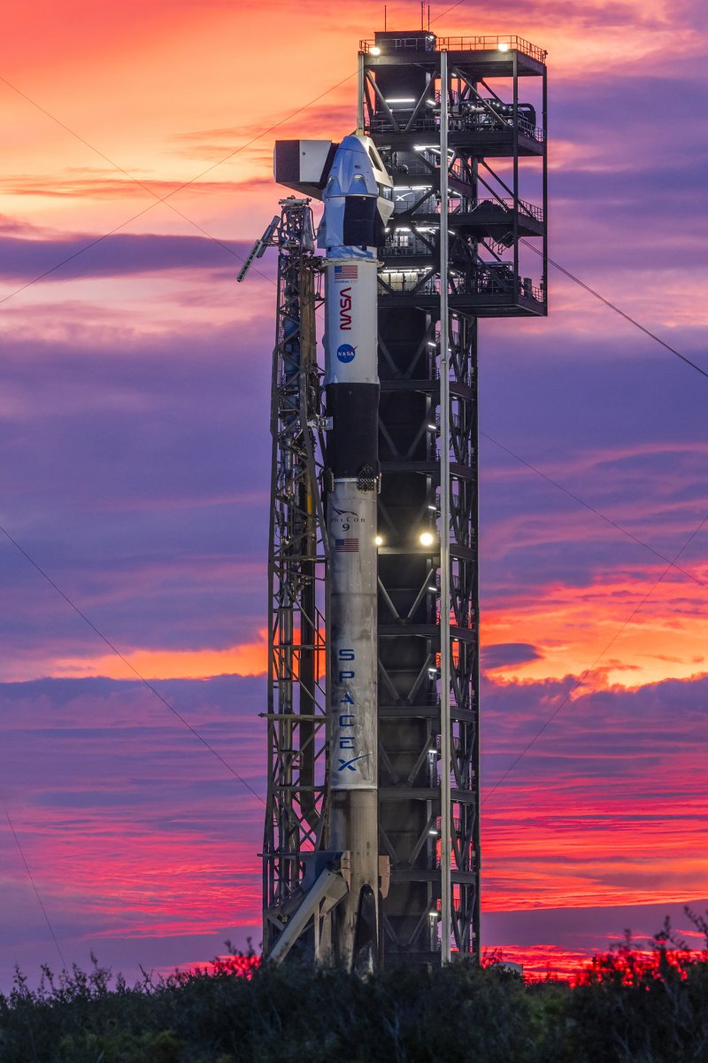 SpaceX Lines Up Three Falcon Rockets for One-Day Launch Blitz