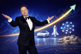 Elon Musk Is Building a Product Gallery at His Texas Ranch