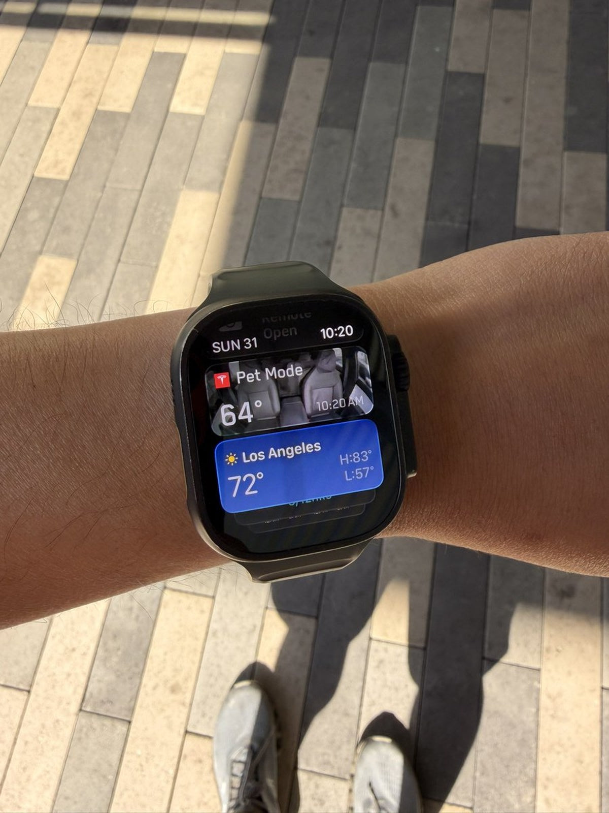 Tesla Pet Mode Now Viewable on Apple Watch
