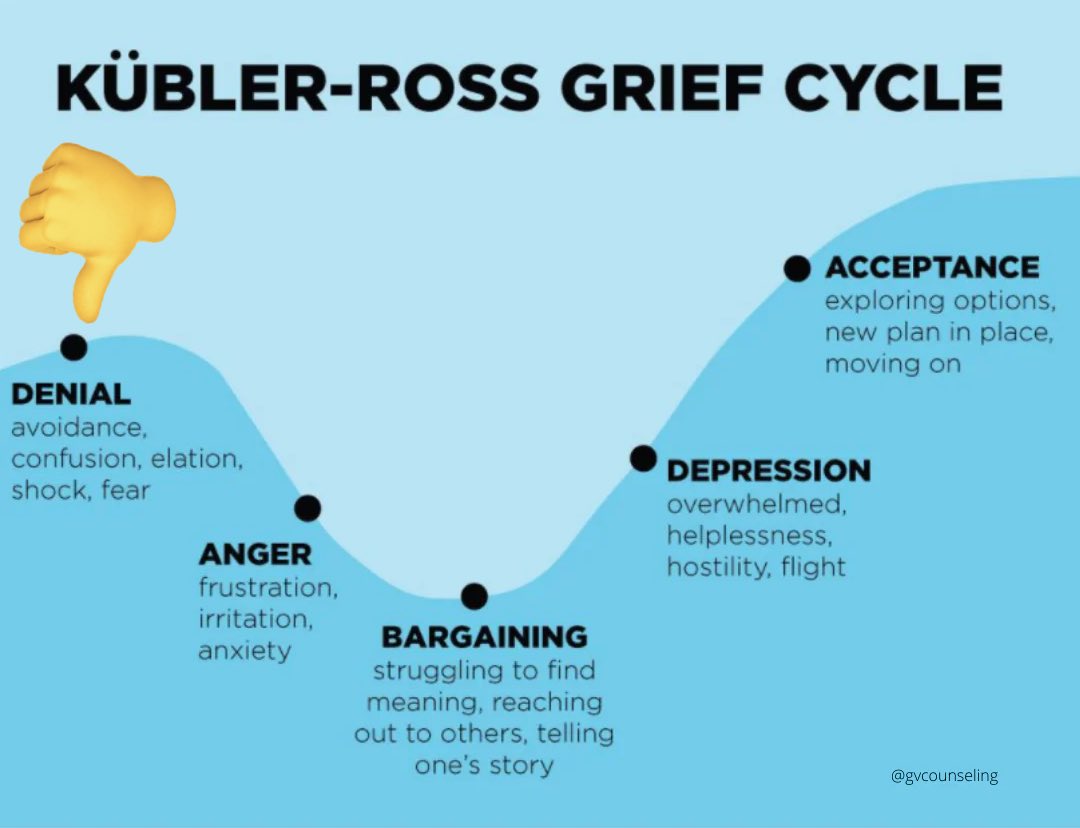 Tesla Driverless Robotaxi Is Live — What Owners Need to Know