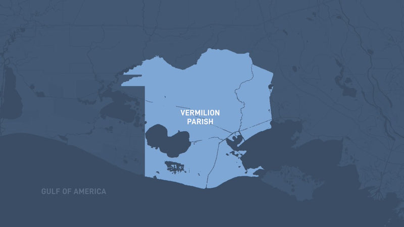 Starlink's Vermilion Parish Deal: 5 Details That Matter