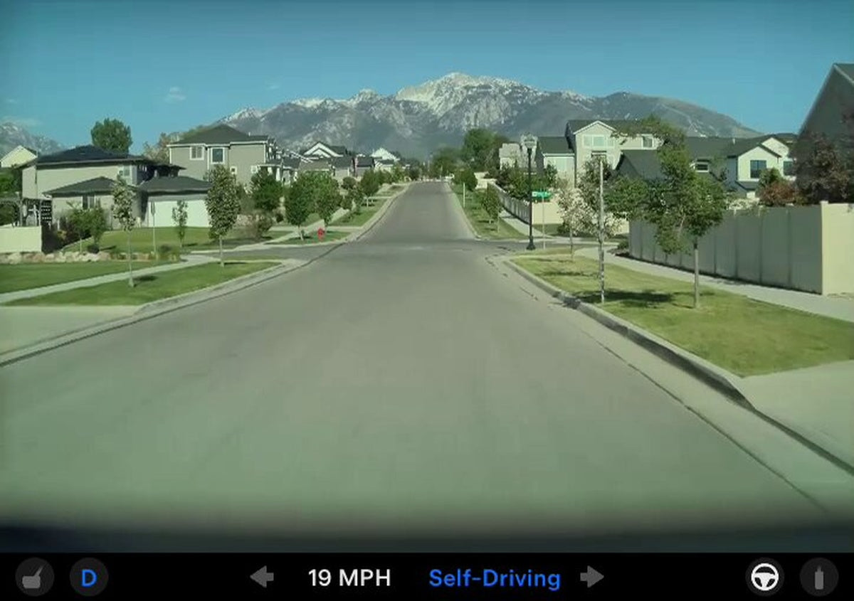 Tesla FSD Brakes Instantly for Child on Bike in Residential Street