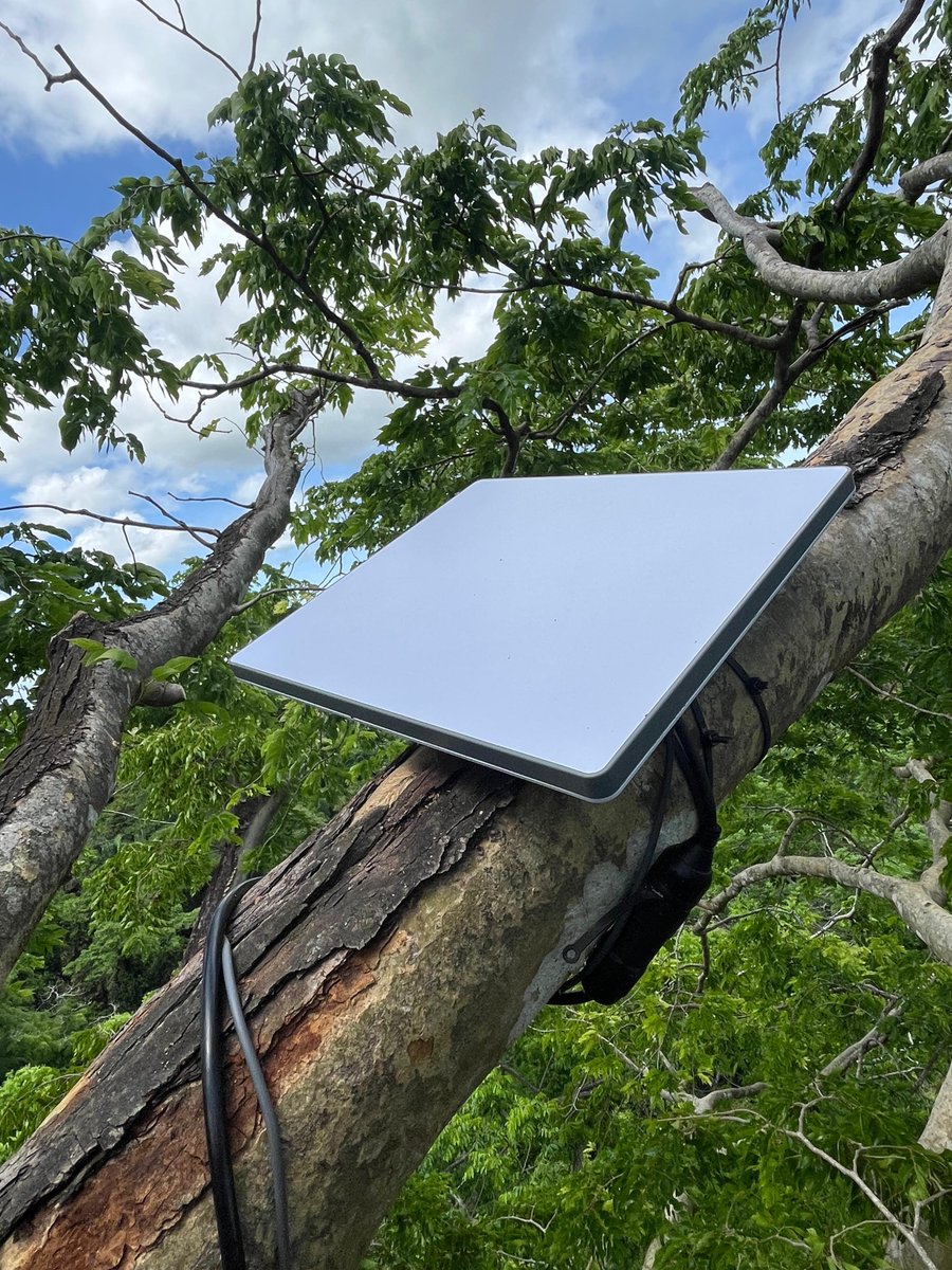 Starlink Brings AI-Powered Biodiversity Research to Remote Colombia