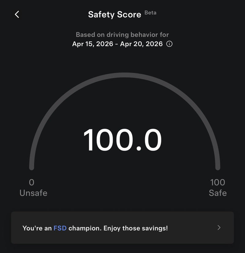 Tesla 'FSD Champion' Savings Program Spotted — What We Know