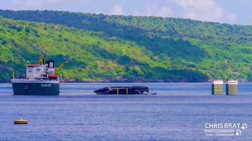 Starship 40 Recovered from Indian Ocean, Heading Home