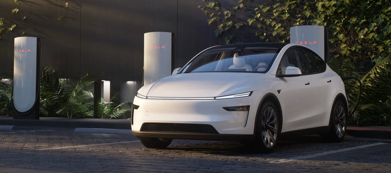 2024-2025 Model Y Exterior